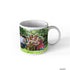 Personalized White Photo Mug